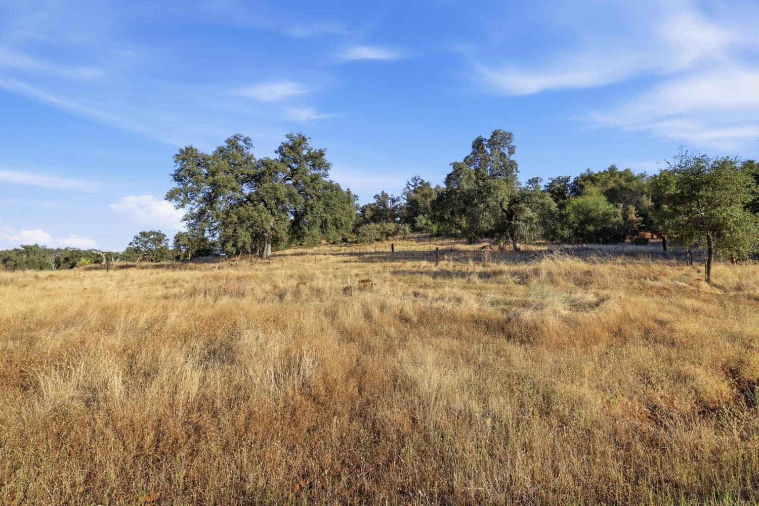 Land in Grass Valley 5