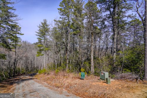 lot-39-0 Ivy Ridge Way, Clarkesville, GA, 30523 | Card Image