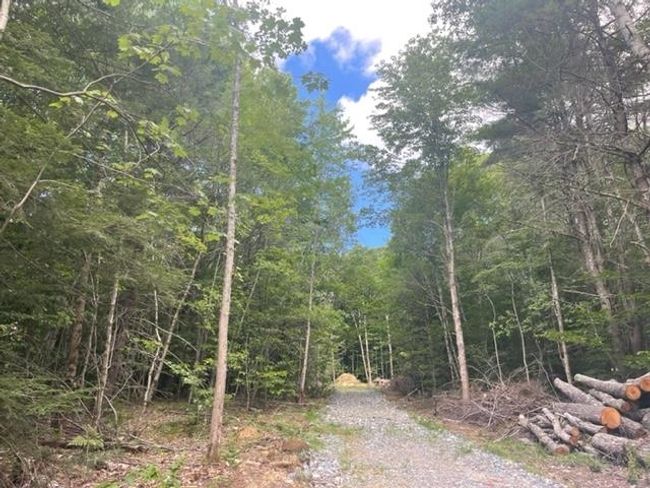 LOT-5-1 - 48 Mccrillis Rd, Home with 0 bedrooms, 0 bathrooms and null parking in Nottingham NH | Image 4