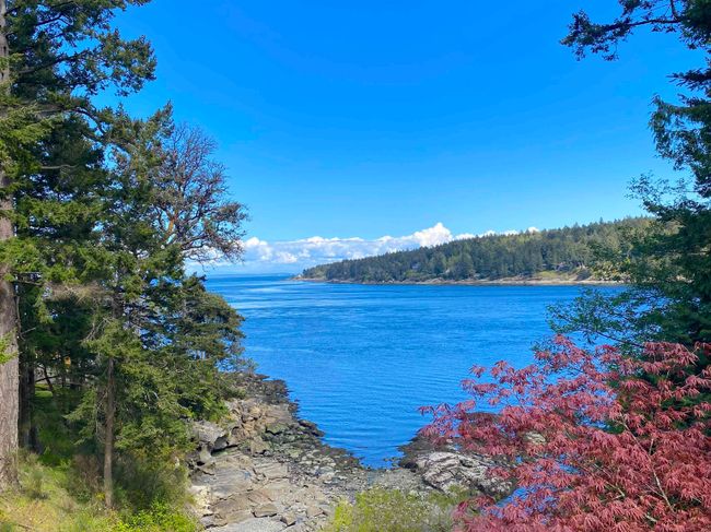229 Mary Ann Point, House other with 4 bedrooms, 3 bathrooms and null parking in Galiano Island BC | Image 32