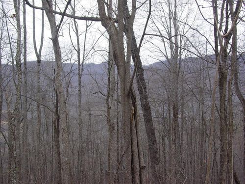 #16 Roaring Ridge, Hiawassee, GA, 30546 | Card Image