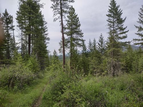 XXX E Jump Off Rd, Valley, WA, 99181 | Card Image