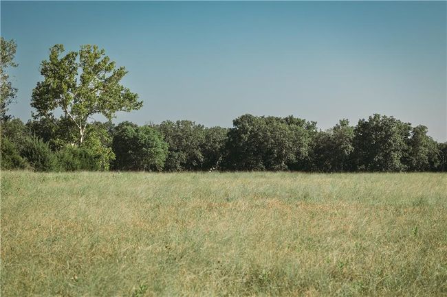 View of local wilderness featuring a rural view | Image 6
