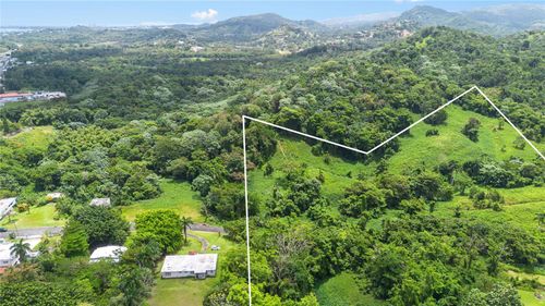 968 Bo. Zarzal, RIO GRANDE, PR, 00745 | Card Image