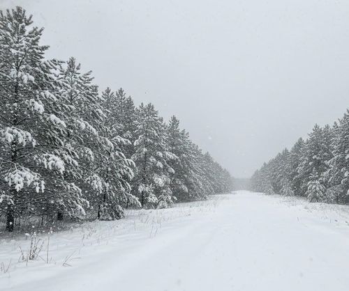 Parcel F-2 N 2 1/2 Road, Hanover Township, MI, 49620 | Card Image