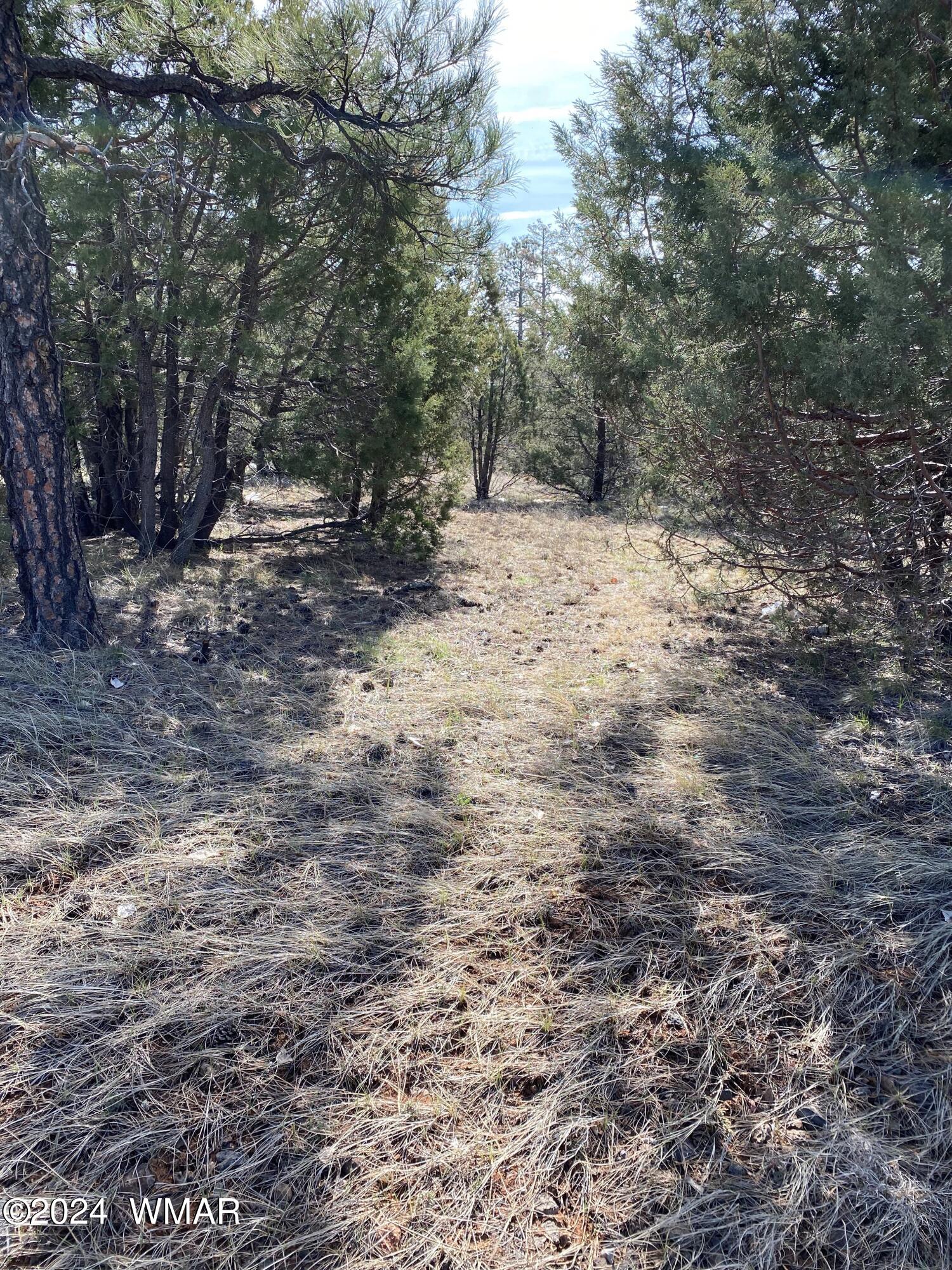 Land in Lakeside 4