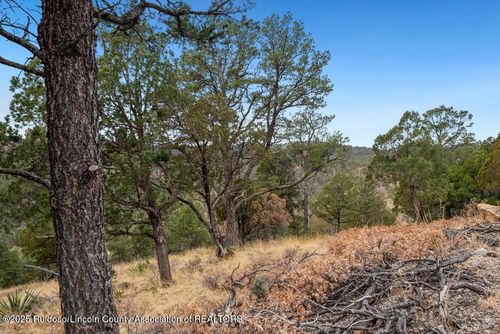 109 Middle Frk, Ruidoso, NM, 88345 | Card Image