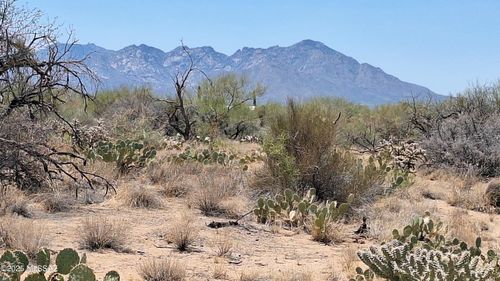 358-14465 S Ezra Place, Tucson, AZ, 85736 | Card Image