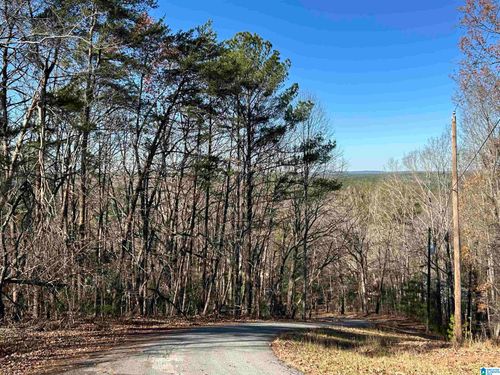 11-111 N Highland Dr, Columbiana, AL, 35051 | Card Image