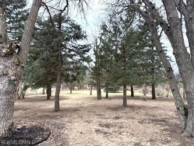Huge Backyard | Image 21