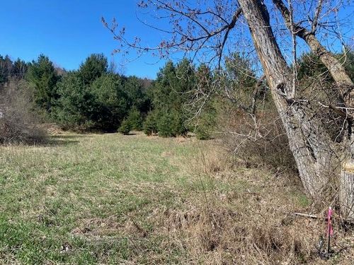 V/L Moore, Whitewater Township, MI, 49690 | Card Image