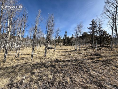 32 Sugar Loaf Ln, Jefferson, CO, 80456-9747 | Card Image