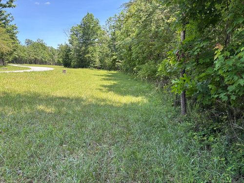 Lot 232 Long Branch Rd, Spencer, TN, 38585 | Card Image