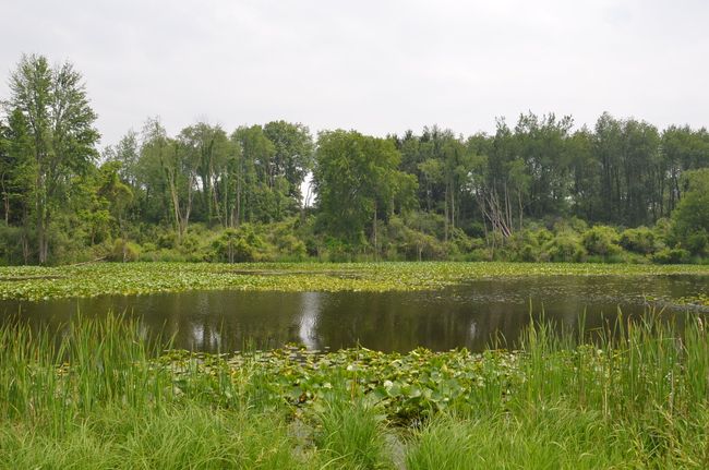 4500 S 42 Nd St, Home with 0 bedrooms, 0 bathrooms and null parking in Climax MI | Image 56