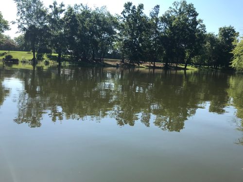 894 Riverbend Dr, Dayton, TN, 37321-5337 | Card Image