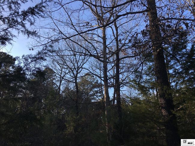 000 Highway 15, Home with 0 bedrooms, 0 bathrooms and null parking in Downsville LA | Image 26