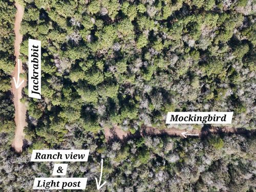 28802 Jackrabbit Dr, Hempstead, TX, 77445 | Card Image