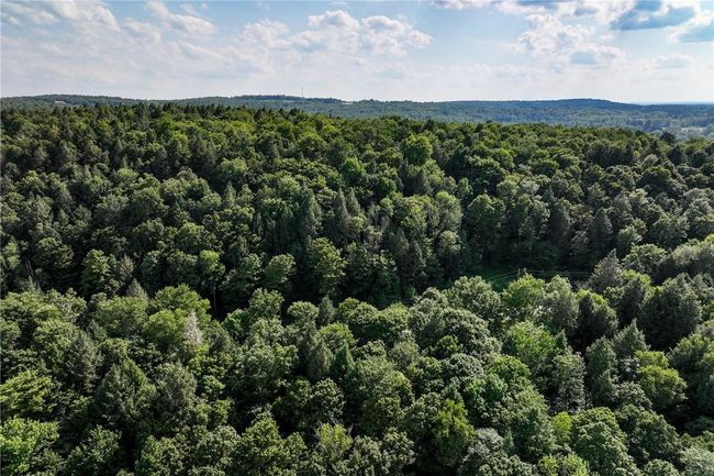 Bird's eye view | Image 11