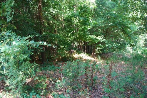 5 Neffwood Ln, Bella Vista, AR, 72715-5331 | Card Image