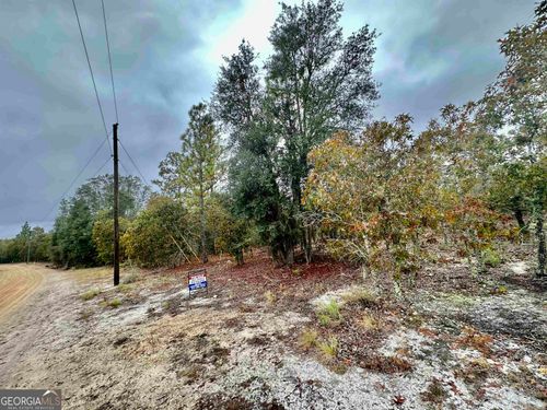 0 Coleman Bridge Rd, Cobbtown, GA, 30420 | Card Image