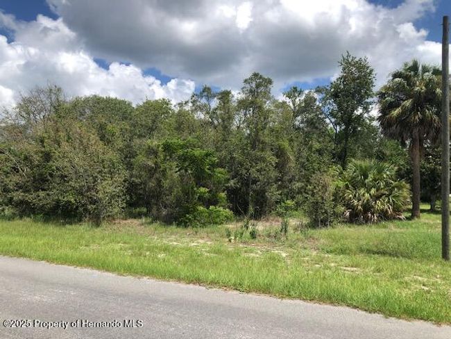 0 Alderwood St, Home with 0 bedrooms, 0 bathrooms and null parking in SPRING HILL FL | Image 4
