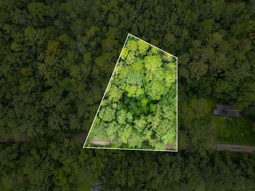 XXX Red Gum Rd, TALLAHASSEE, FL, 32303 | Card Image