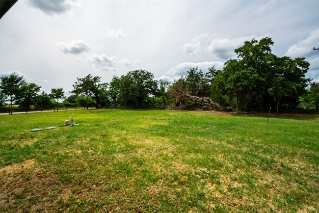 View of grassy yard | Image 36