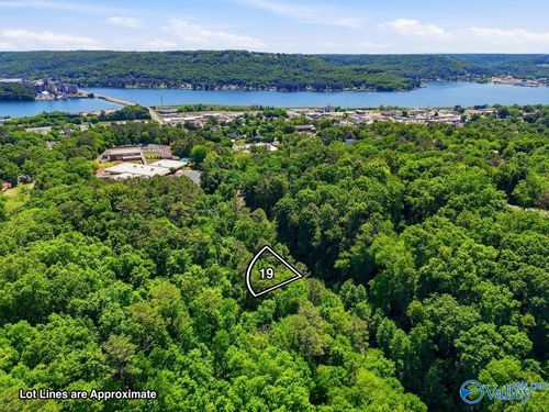 Lot 19 Lusk St, Guntersville, AL, 35976 | Card Image
