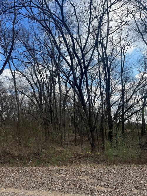 N/A Jackson Ave, Roxton, TX, 75477 | Card Image