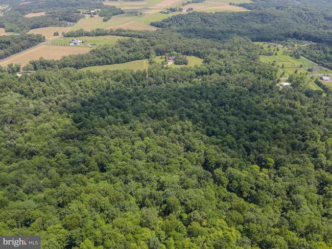 220 Notch Rd, Home with 0 bedrooms, 0 bathrooms and null parking in DUNCANNON PA | Image 7