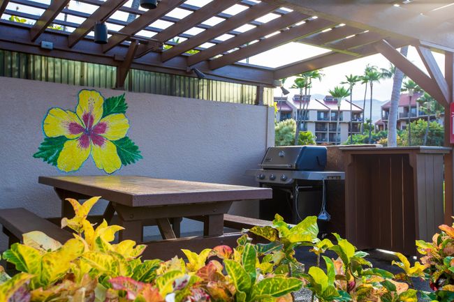 408 - 2695 S Kihei Rd, Condo with 2 bedrooms, 2 bathrooms and null parking in Kihei HI | Image 46