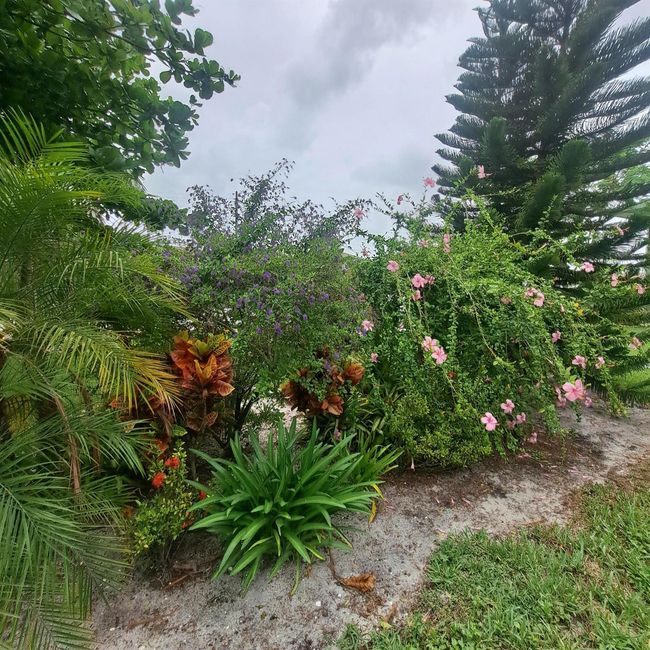 70 Easthampton C, Condo with 1 bedrooms, 1 bathrooms and null parking in West Palm Beach FL | Image 5