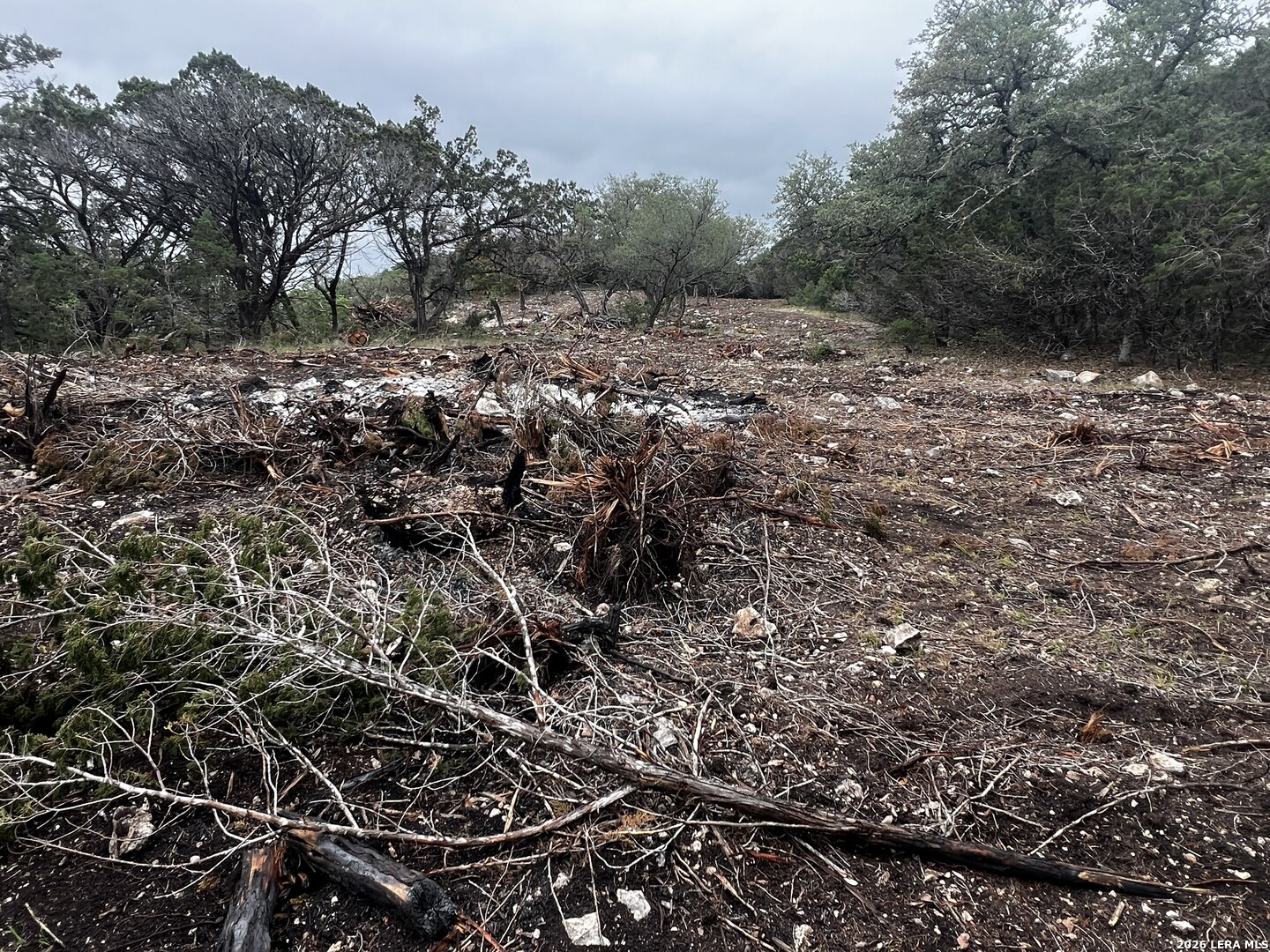 Land in Tarpley 4