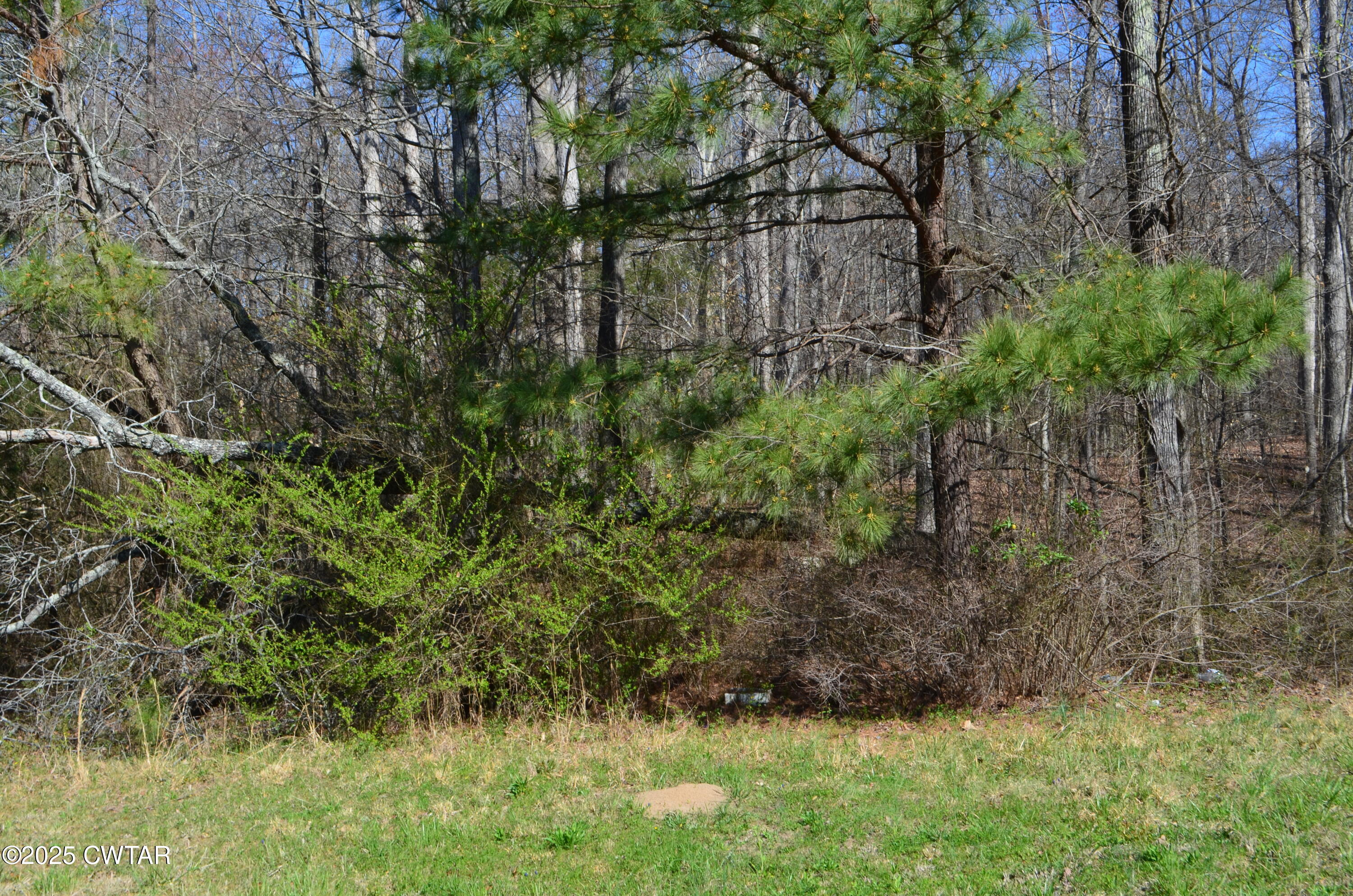 Land in Lexington 5