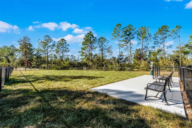 3238 Arch Ave, House other with 4 bedrooms, 3 bathrooms and null parking in Ormond Beach FL | Image 29