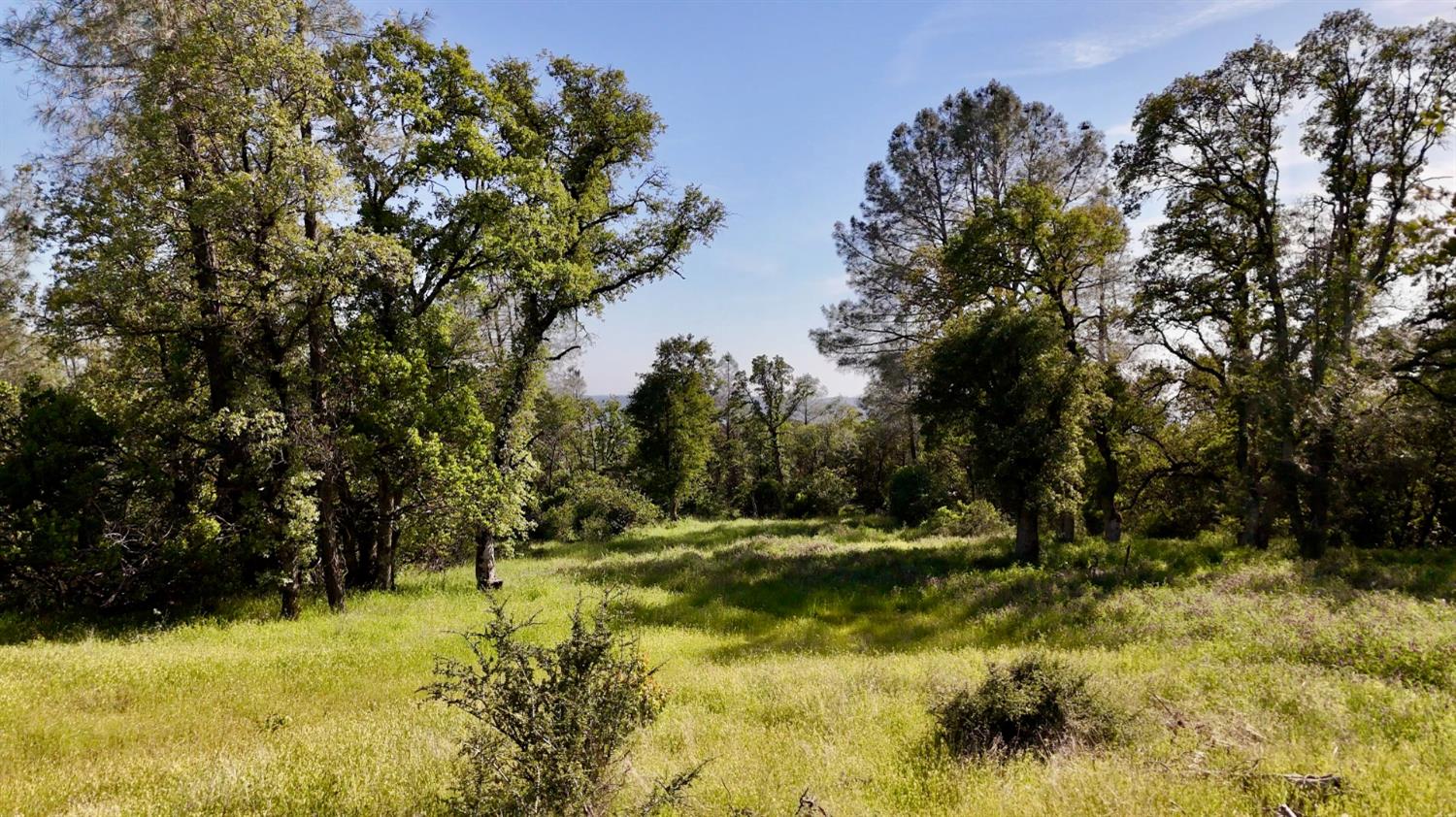 Land in North San Juan 3