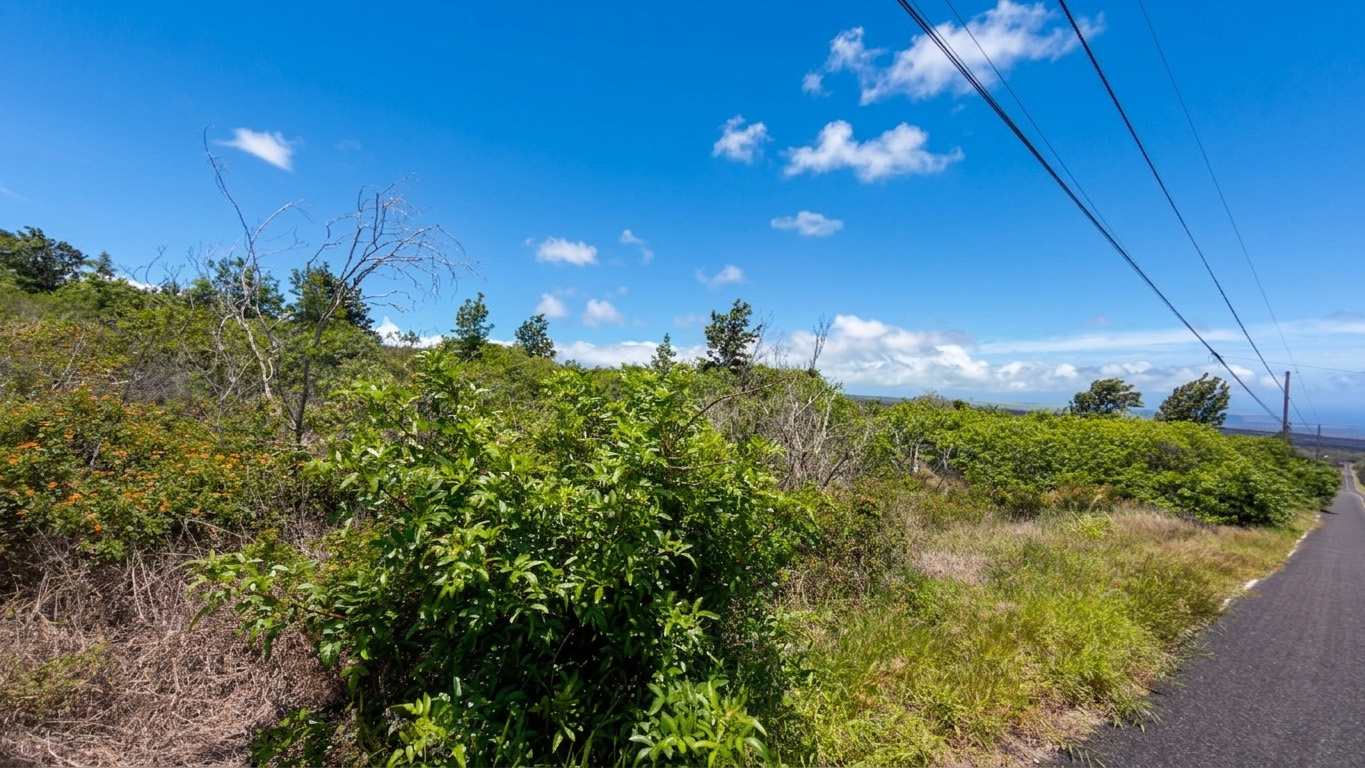 Land in Ocean View 2