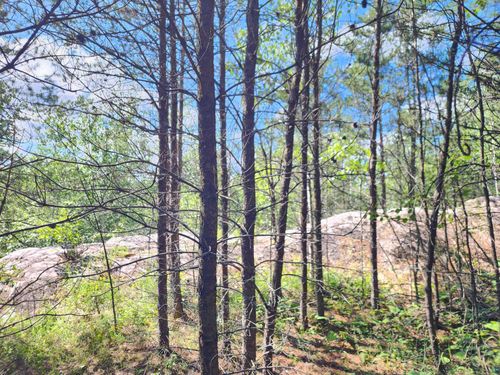 12010 Gunflint Tr, Grand Marais, MN, 55604 | Card Image