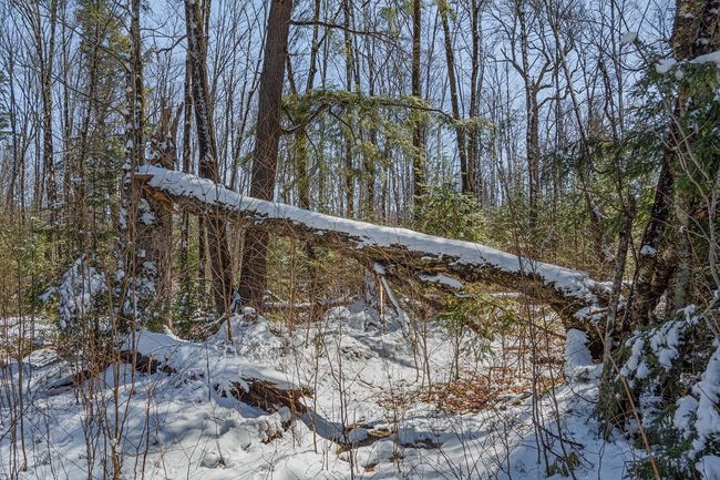 160-acre Pleasant Lake Rd, Home with 0 bedrooms, 0 bathrooms and null parking in Upson WI | Image 40