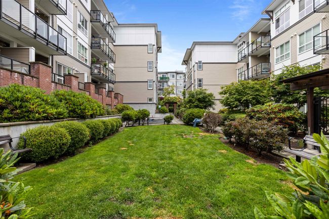 View of green lawn | Image 20