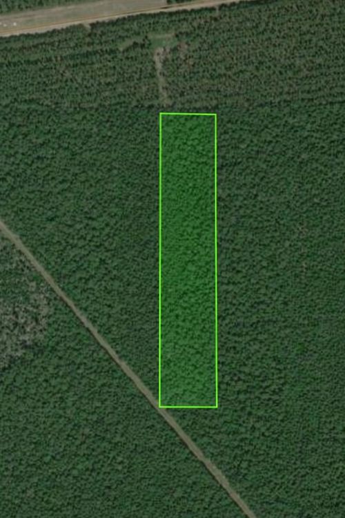 TBD County Road 770, Kountze, TX, 77625 | Card Image