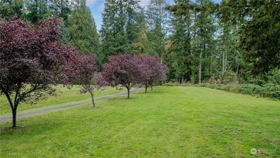 10422 240th Place Se, House other with 3 bedrooms, 1 bathrooms and 2 parking in Issaquah WA | Image 2