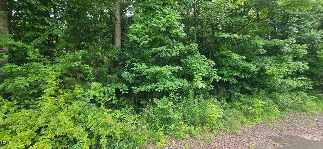 20240613_150950 | Image 15