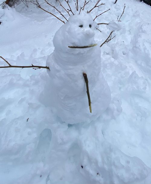 33312 Mattel Dr, Dutch Flat, CA, 95714 | Card Image