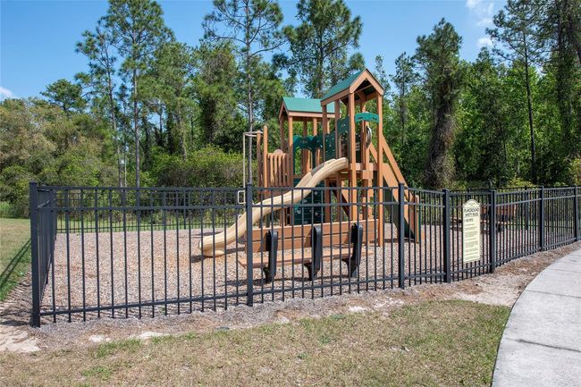 325 Briar Patch Loop, House other with 3 bedrooms, 2 bathrooms and null parking in DAVENPORT FL | Image 20