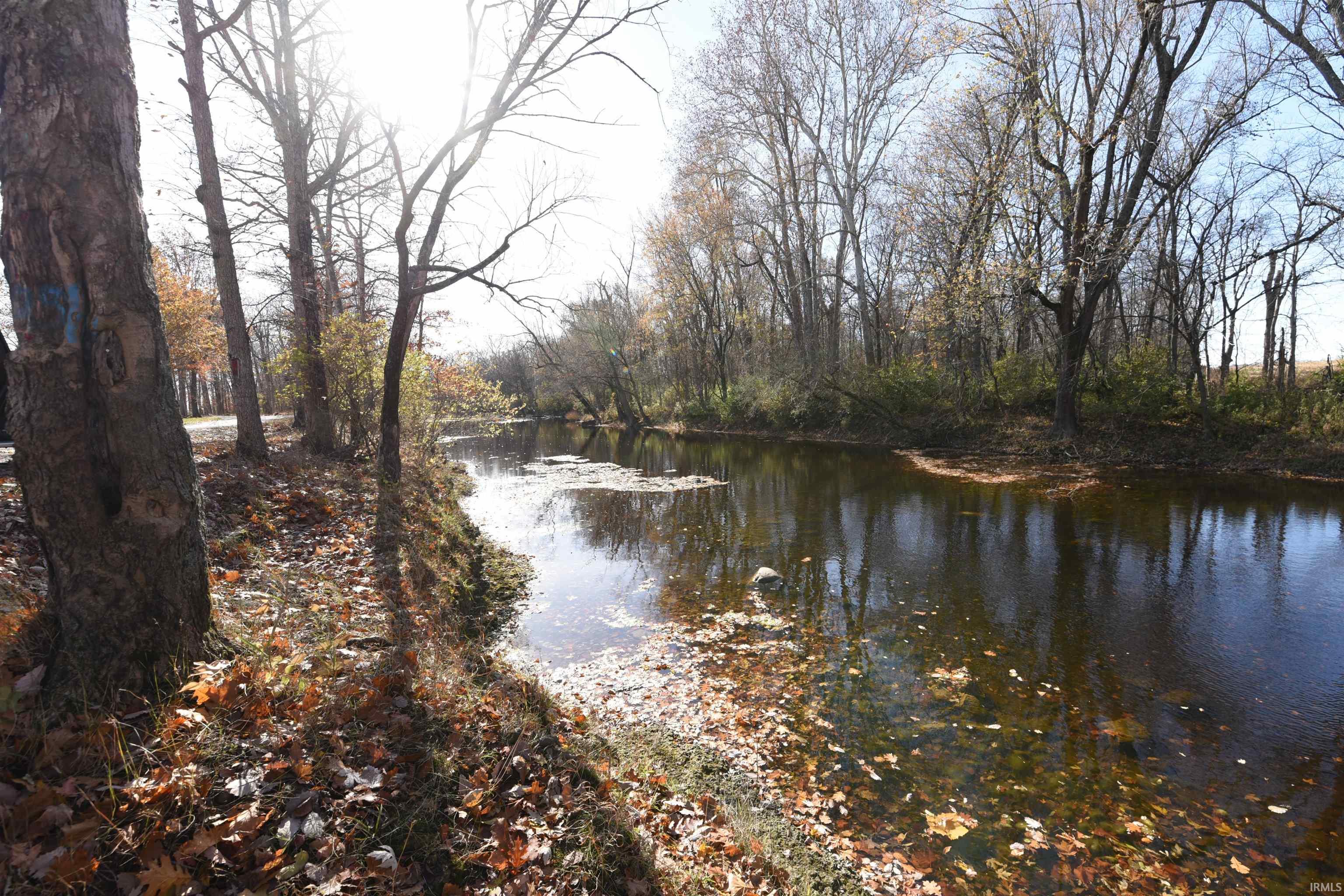 Land in Albany 4