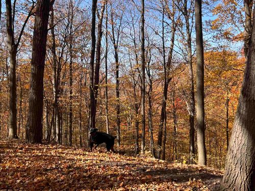 00 E Wee Brook Lane, Leland Township, MI, 49654 | Card Image