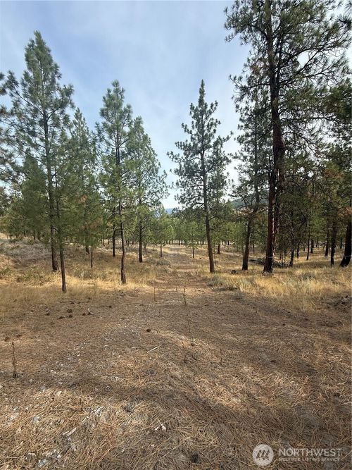 67 W Bannon Creek Rd, Tonasket, WA, 98855-9645 | Card Image