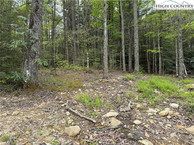 287 Cougar Run, Home with 0 bedrooms, 0 bathrooms and null parking in Linville NC | Image 7