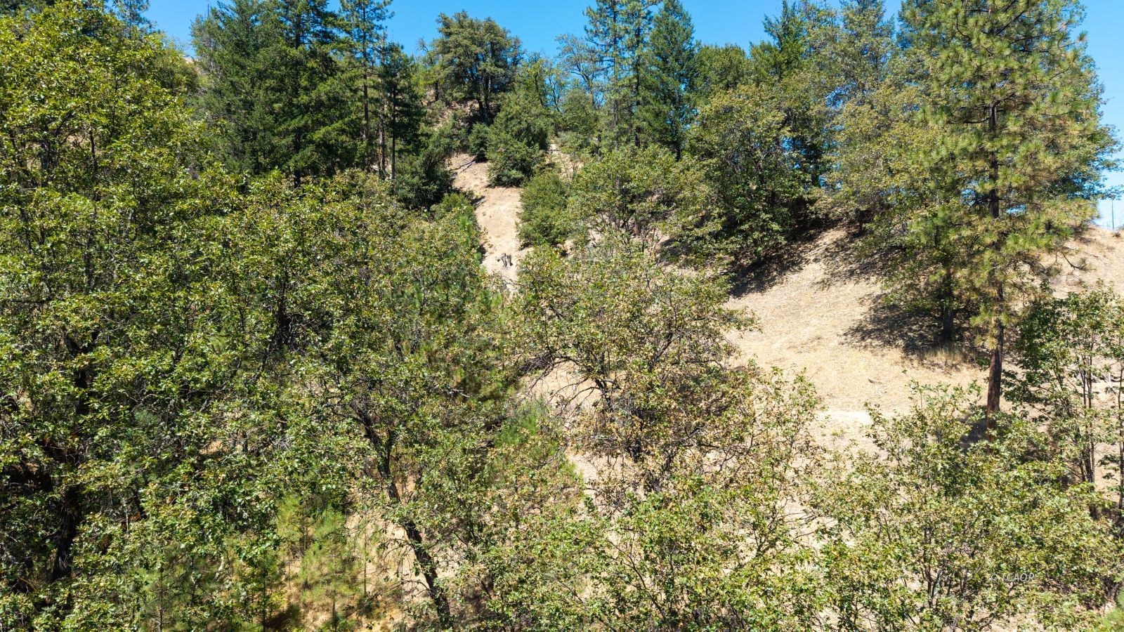 Land in Lewiston 2